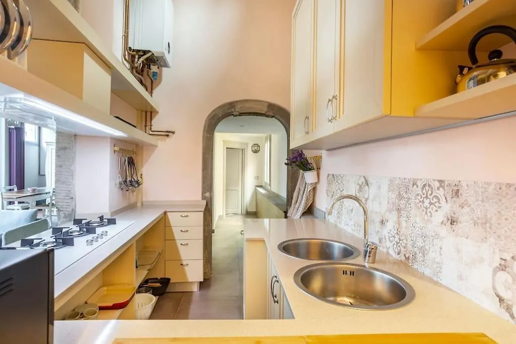 Piazza Pitti - Luxury Apartment -Town Center Florencie
