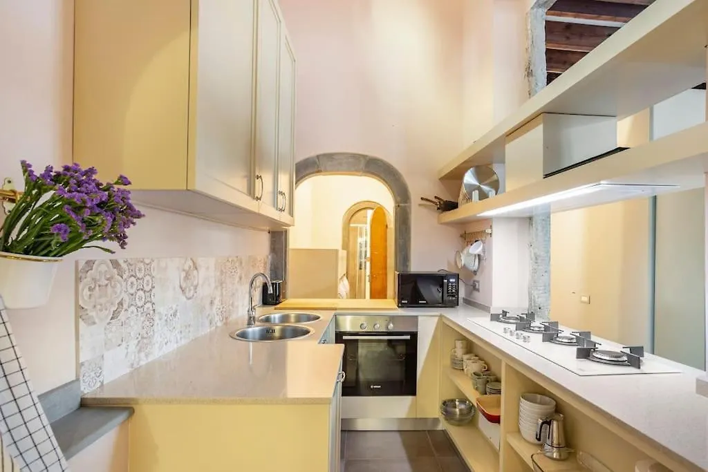 Piazza Pitti - Luxury Apartment -Town Center Florencie 0*,  Itálie